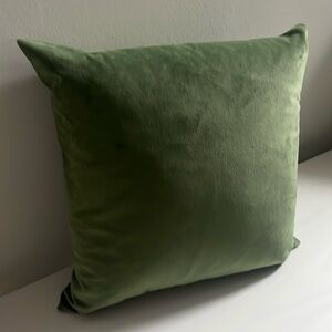 One Green Velvet Throw Pillowcases